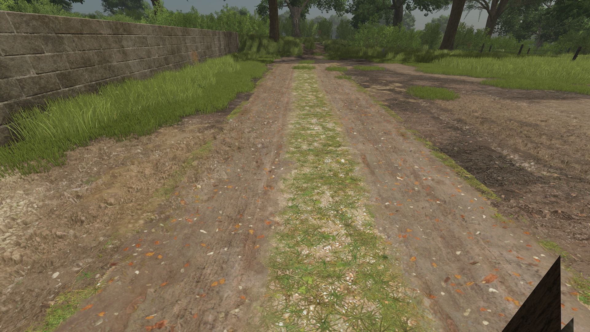 Straßen für The Pichonnière Valley