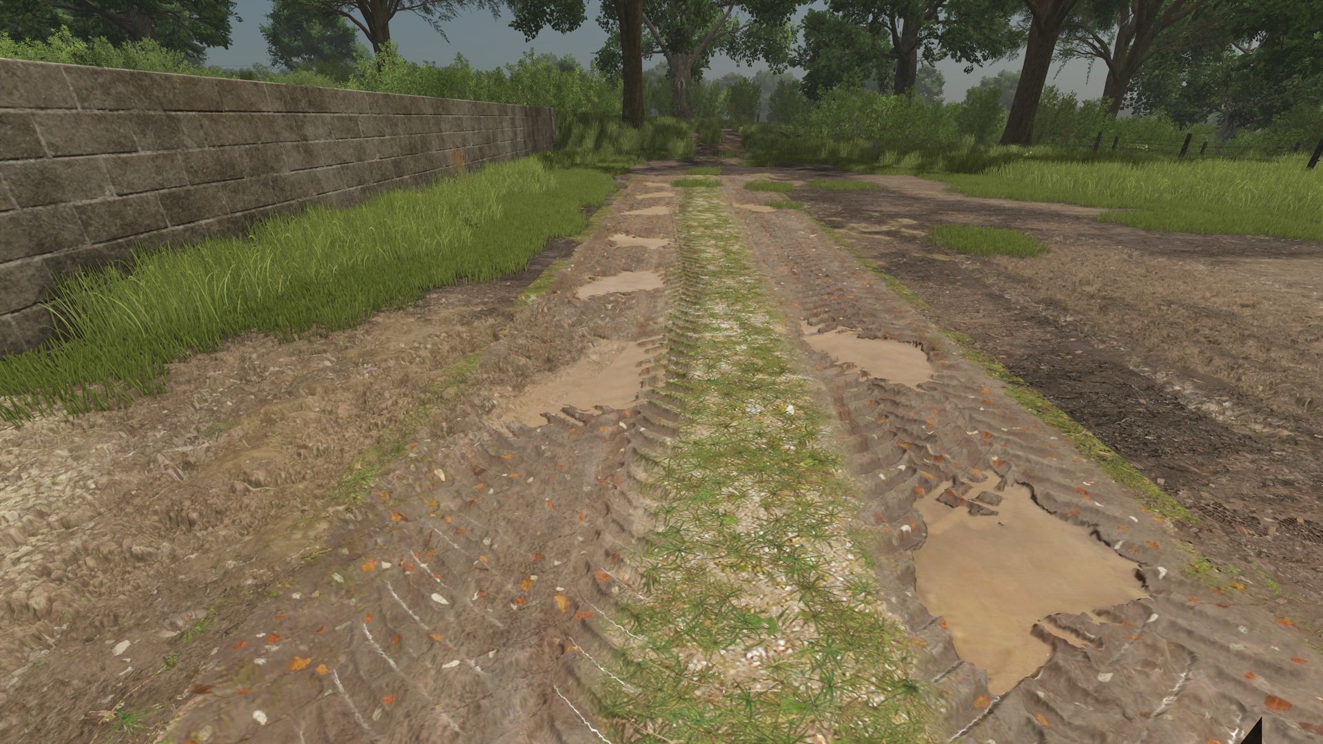 Straßen für The Pichonnière Valley