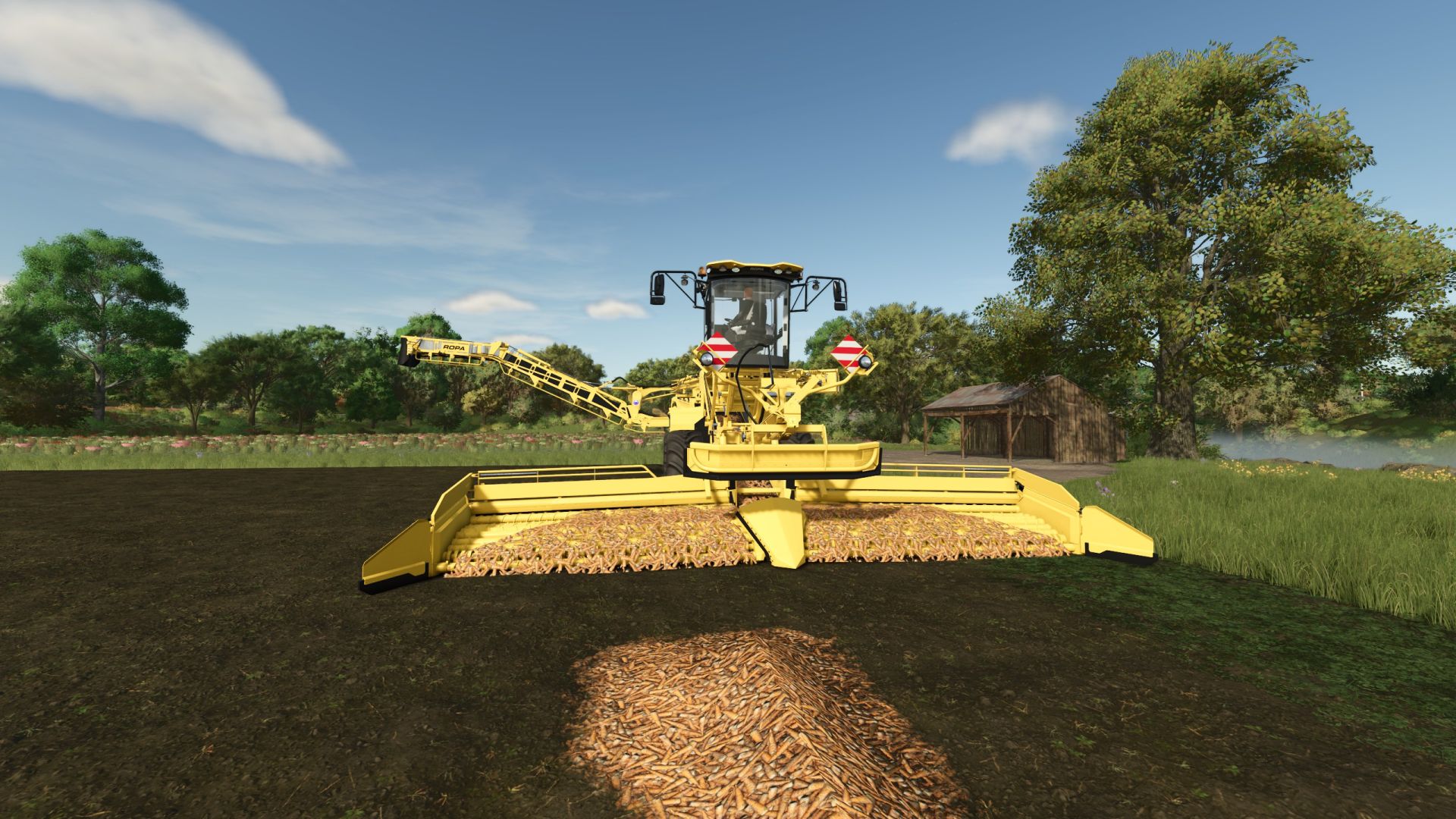 Ropa Maus 5 (Multifruta)