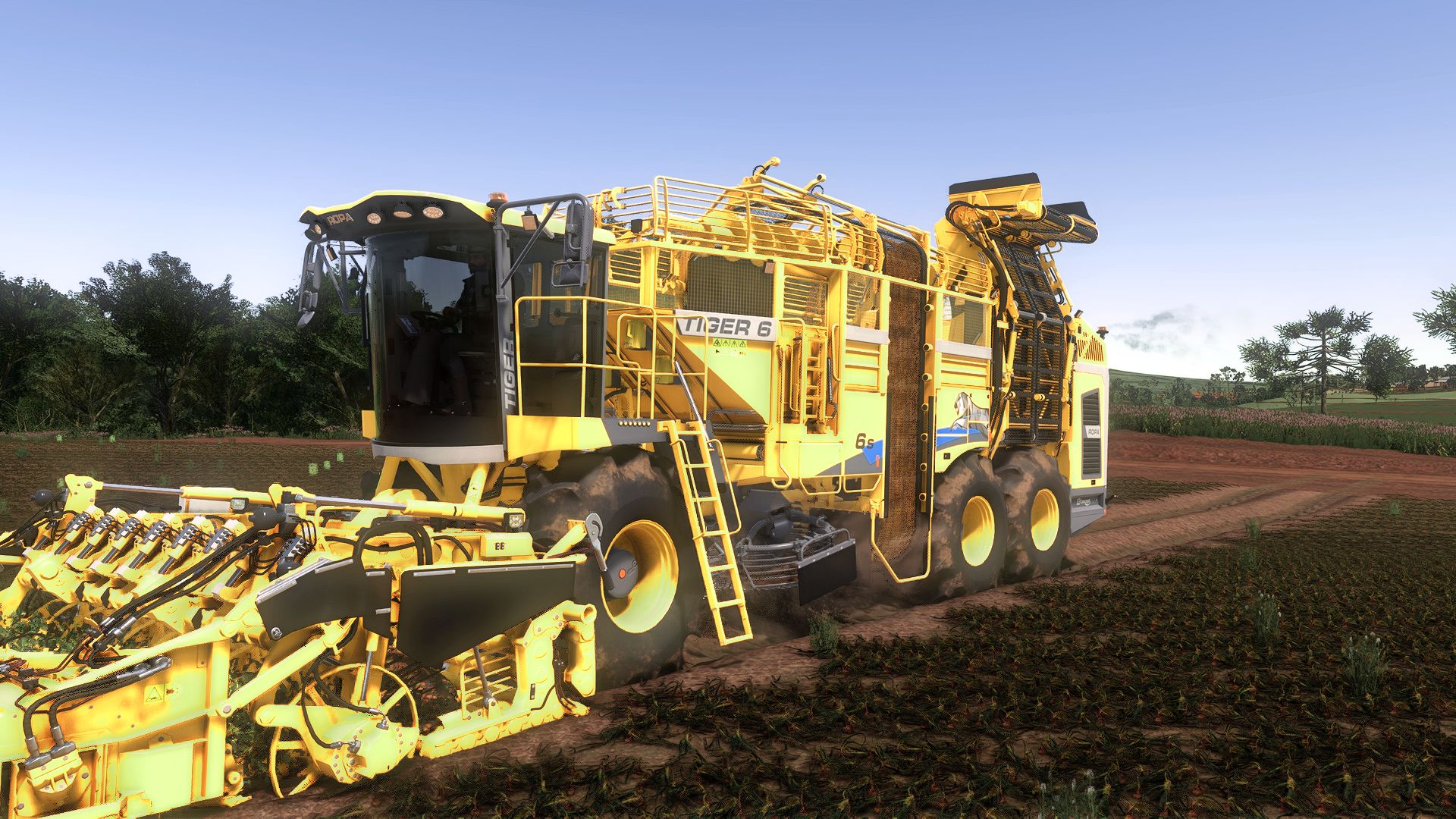 Ropa Tiger 6S Multifruit