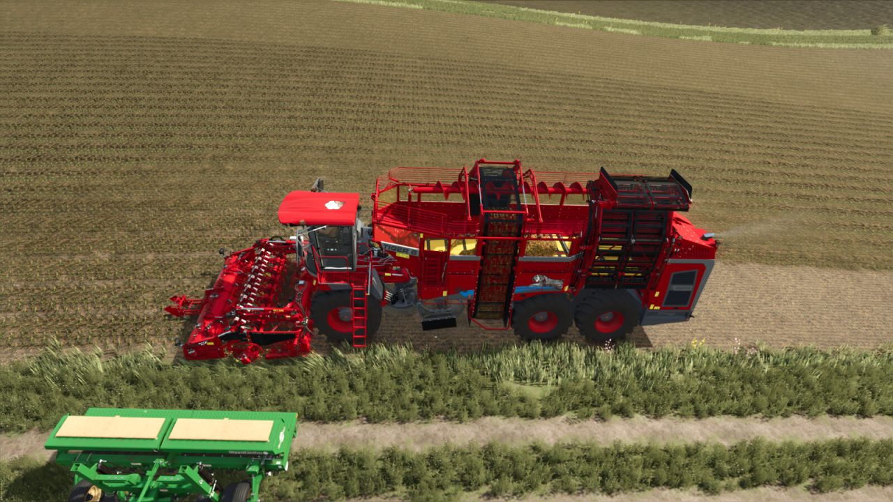 Edição de algodão ROPA Tiger6S