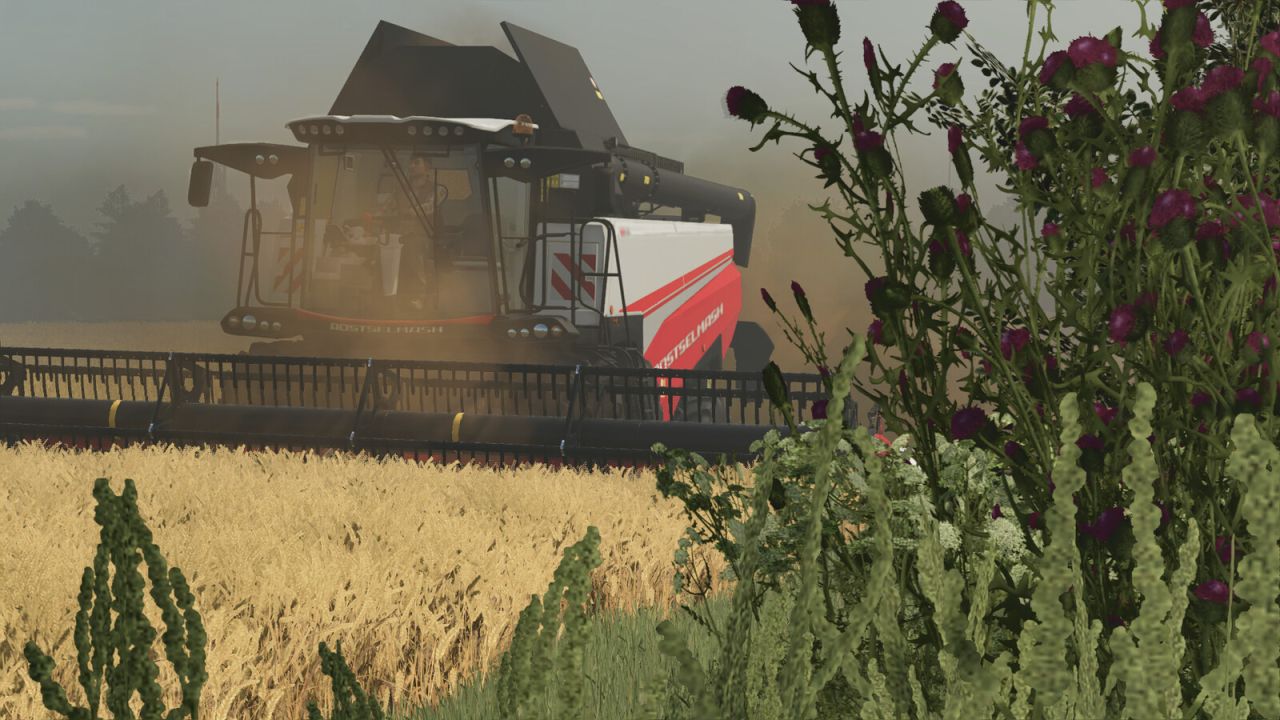 Rostselmash RSM 161 Pack