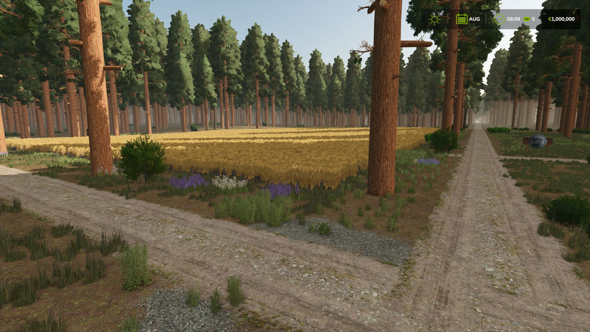 Sequoia Forest