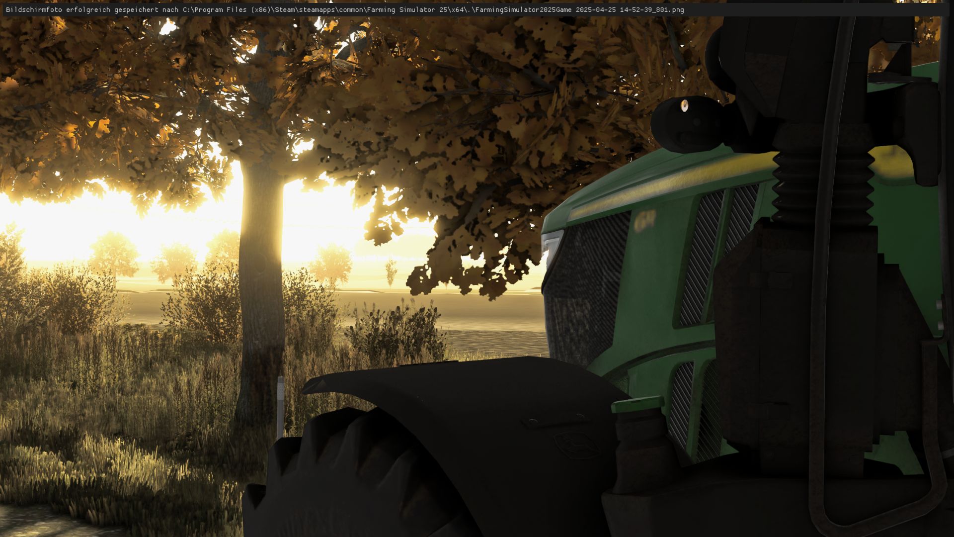 Shader Agrar Niklas