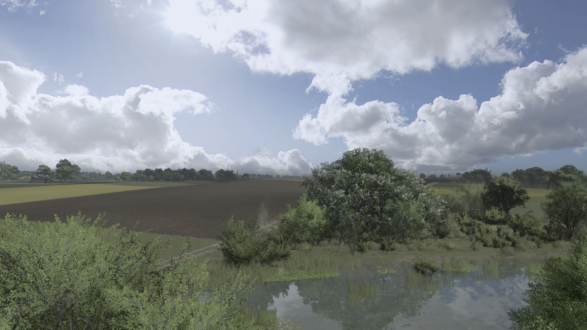 SHADER BY JACOO B (OSW)