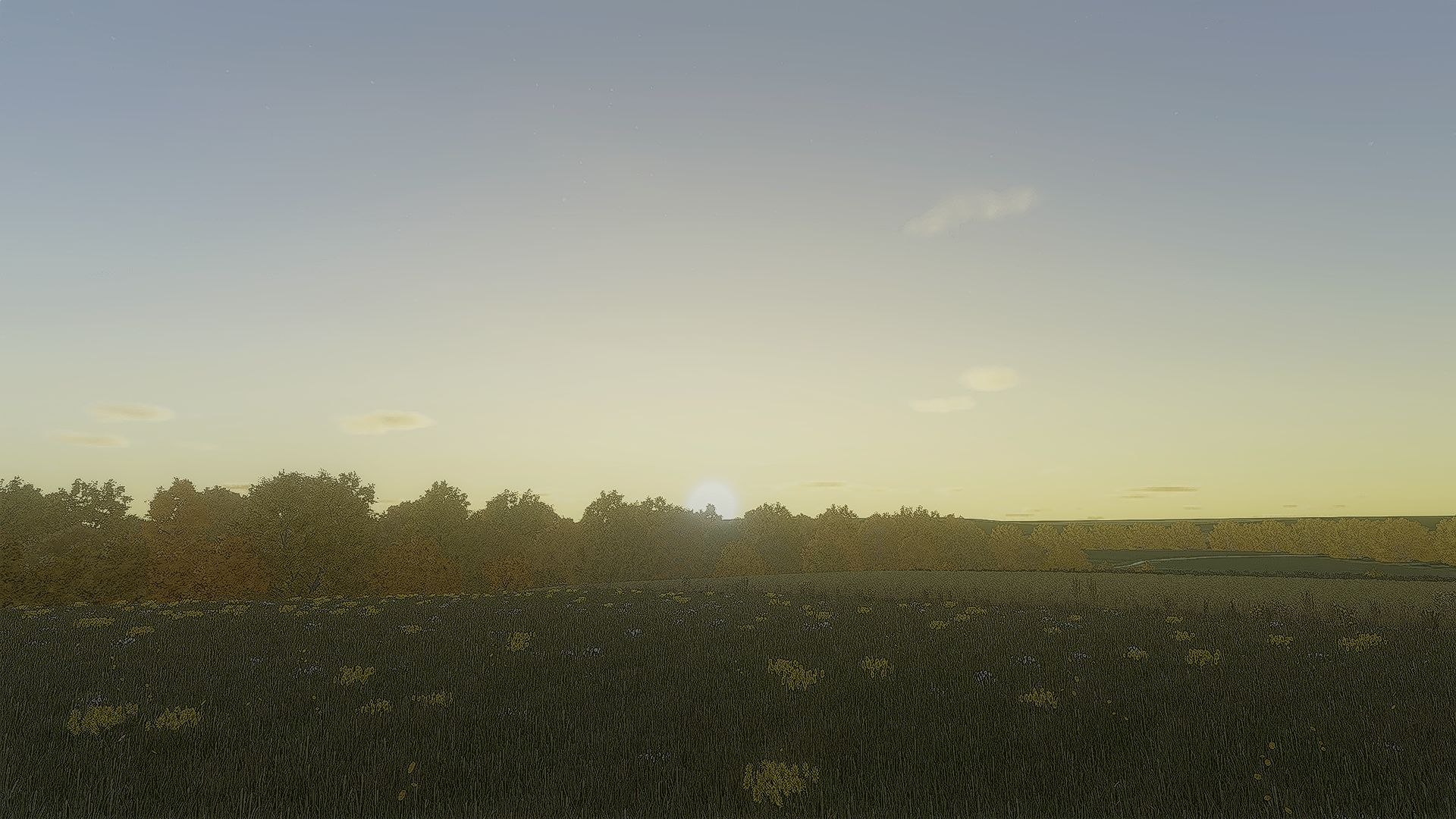 Shaders by Zephy