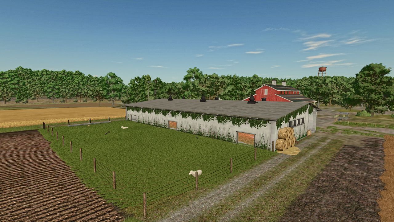 Sheep barn medium