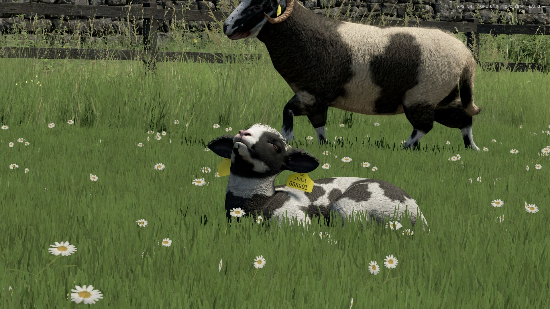 Sheep Breeds for RLRM