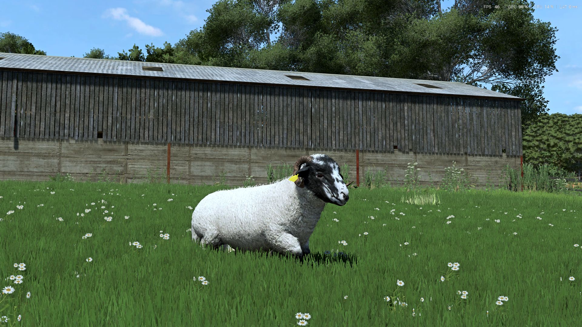Sheep Breeds for RLRM