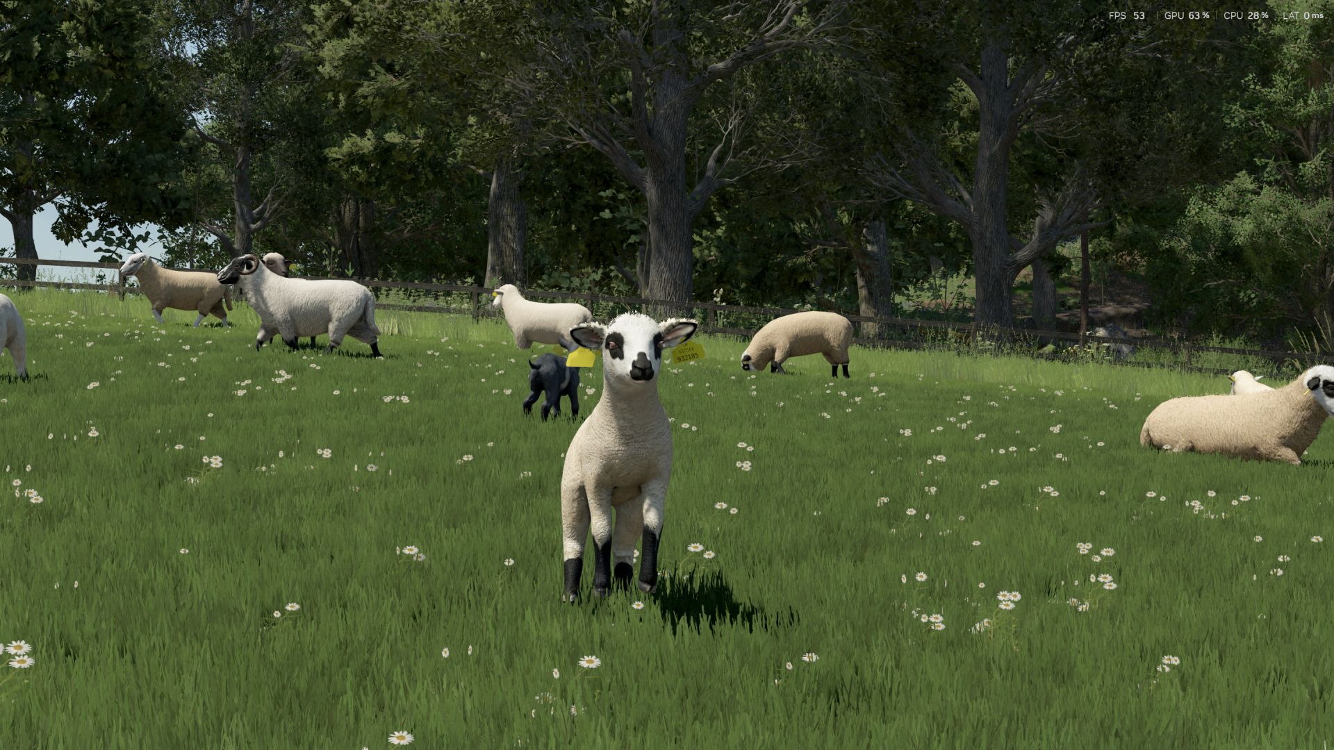 Sheep Breeds for RLRM