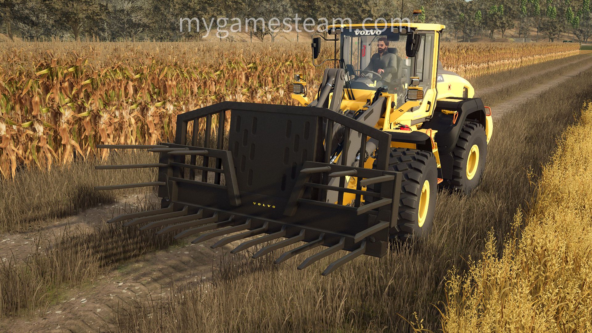 Horquilla de ensilaje