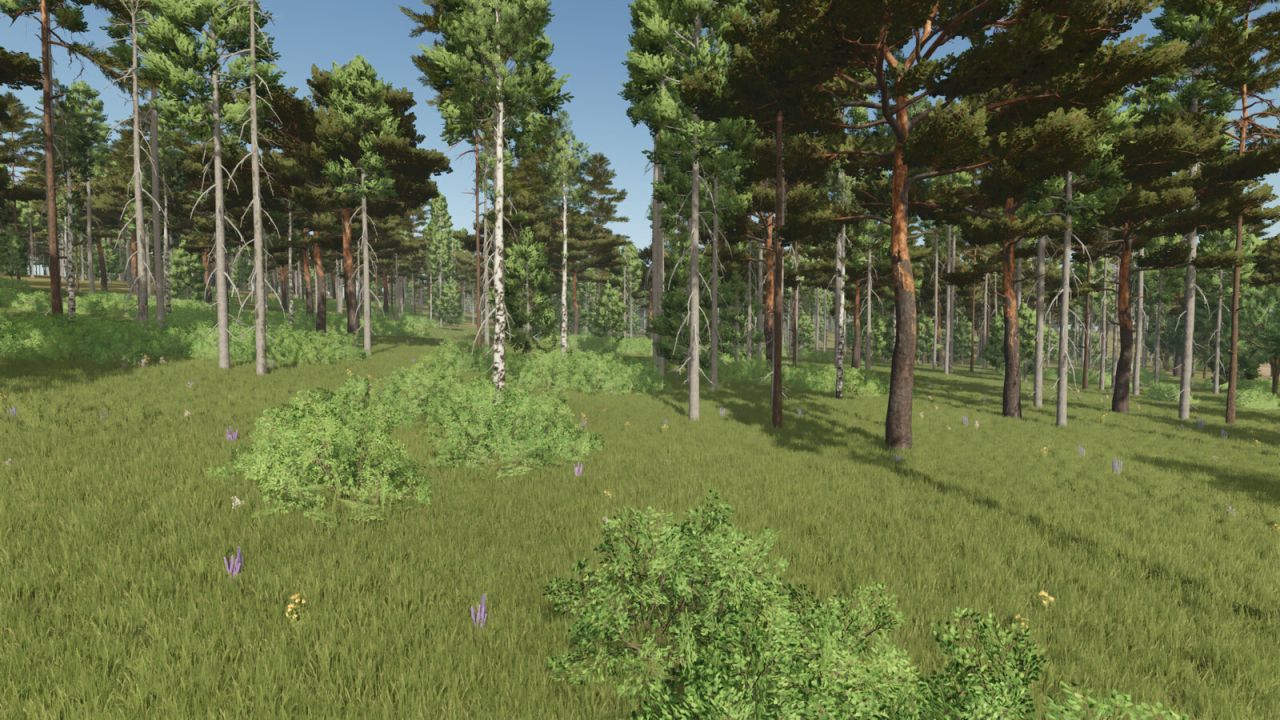 Silberseewald