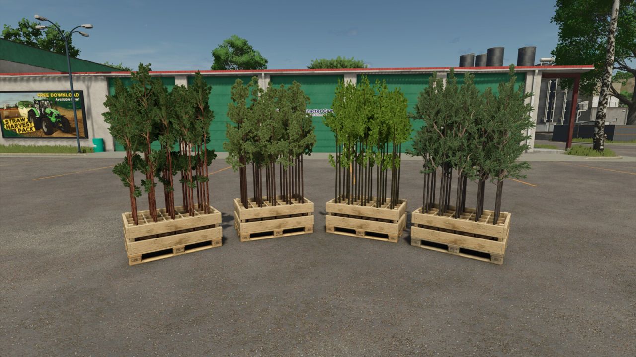 Arbres Silverrun