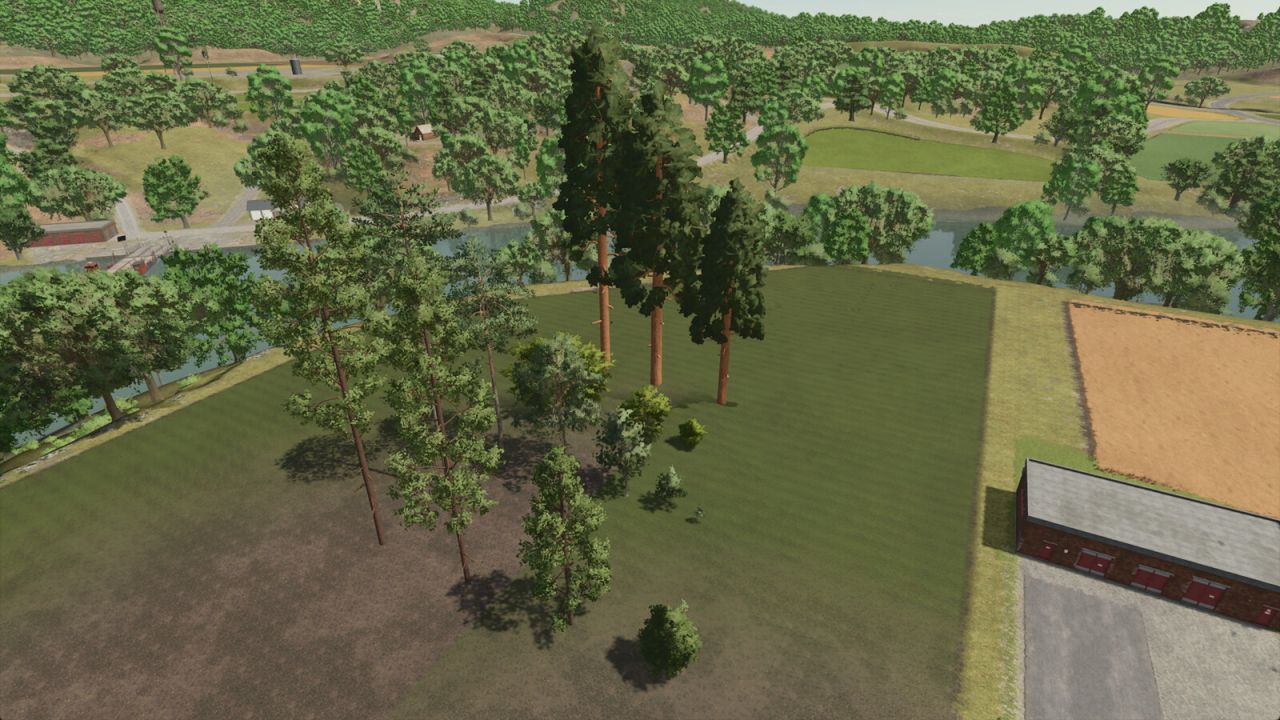 Arbres Silverrun