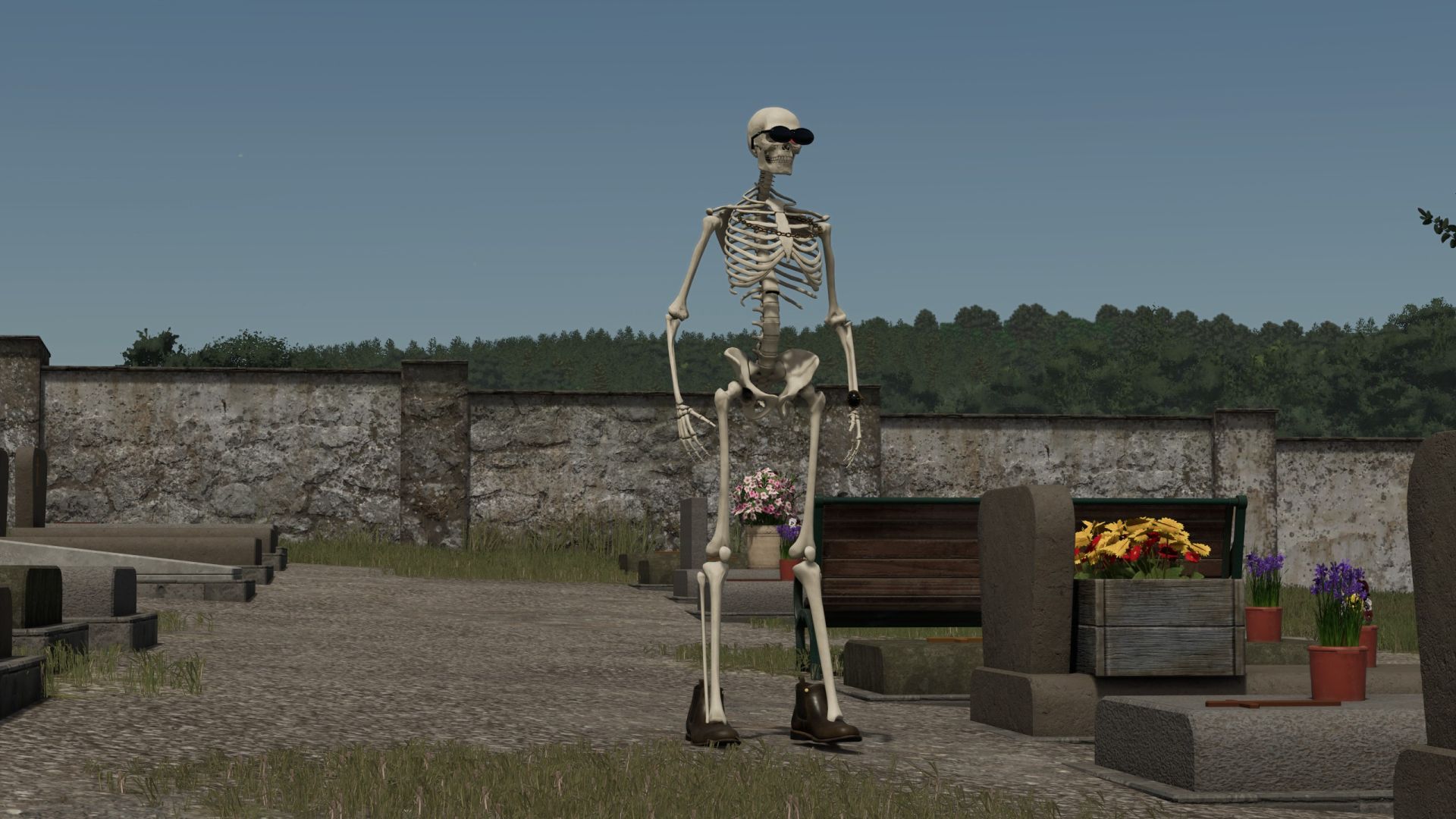 Skelly bones (Skeleton Player)