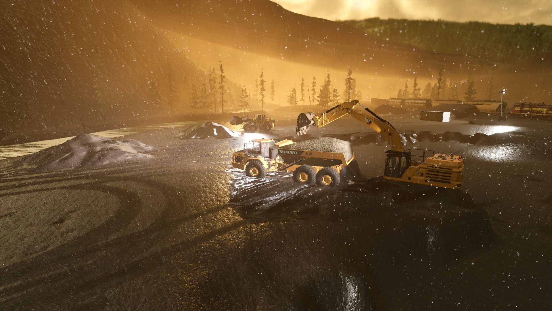 Schleusenwaschpflanze