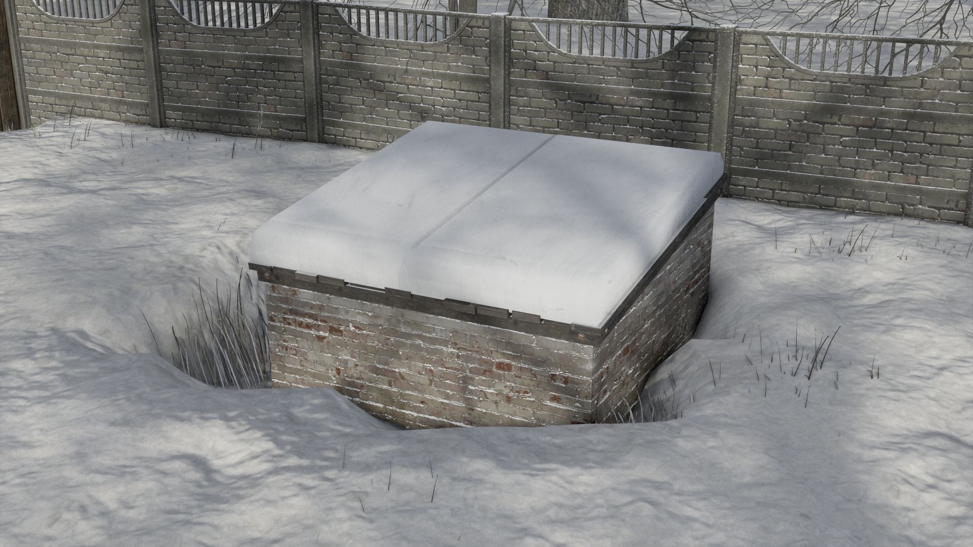 Small Basement For Collections