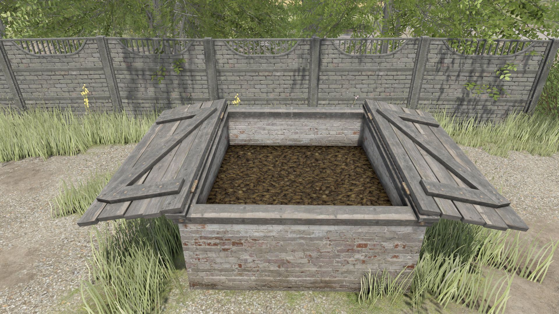 Small Basement For Collections