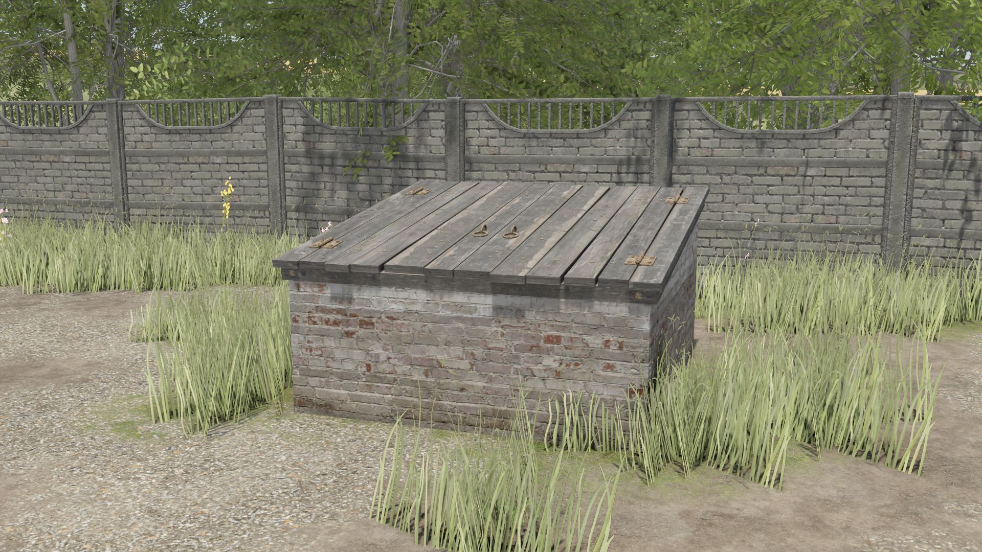 Small Basement For Collections