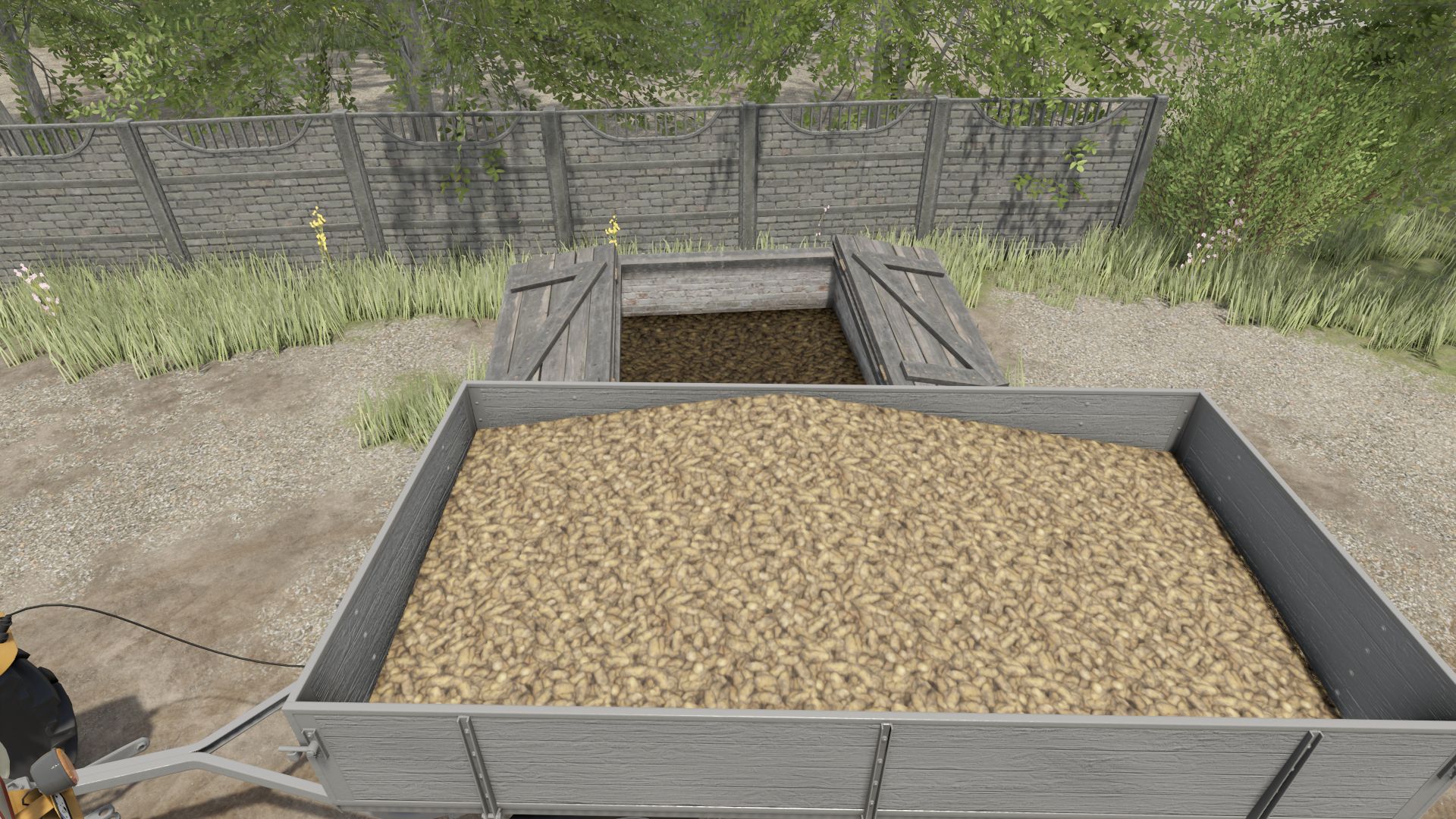 Small Basement For Collections