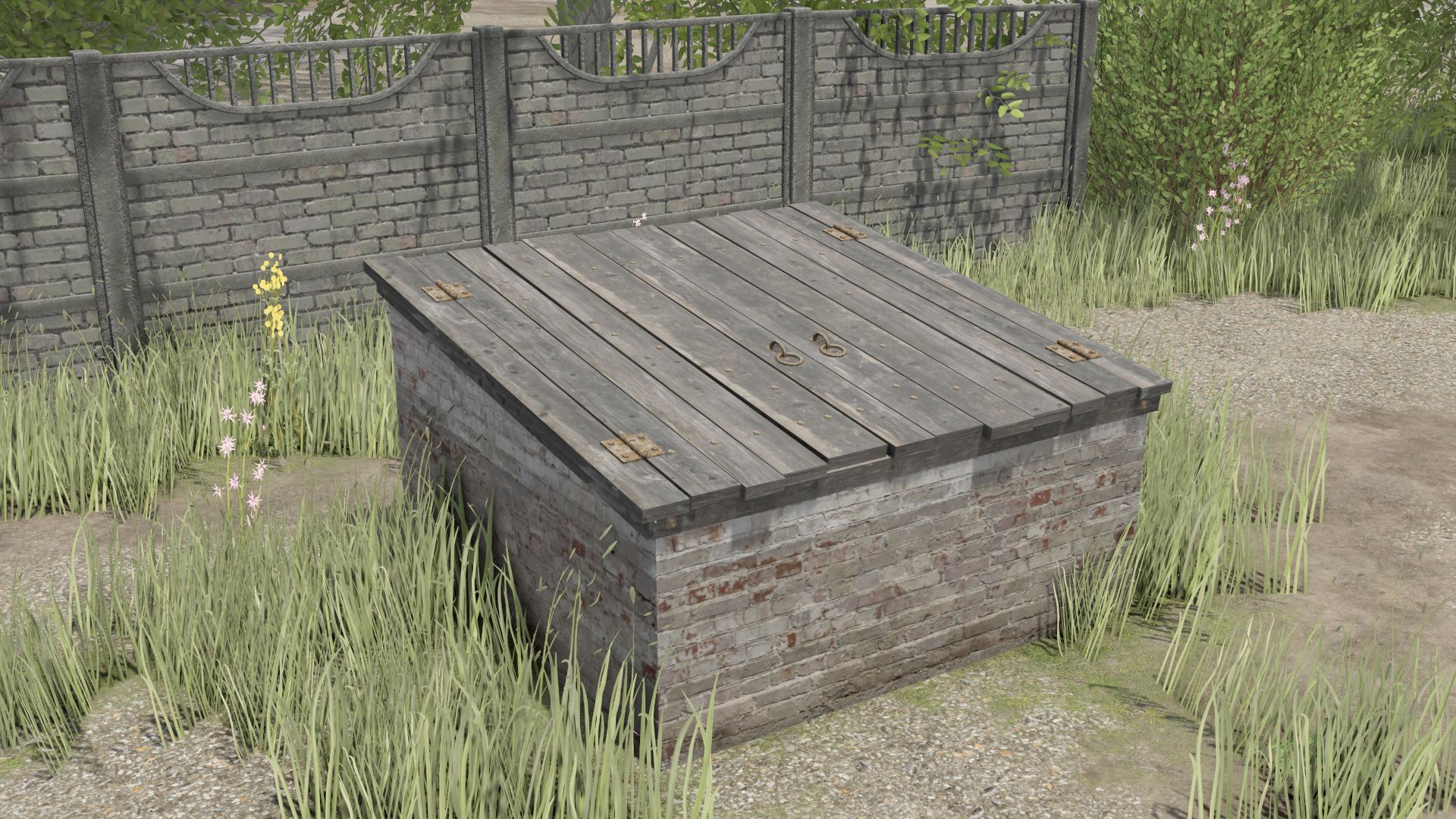Small Basement For Collections