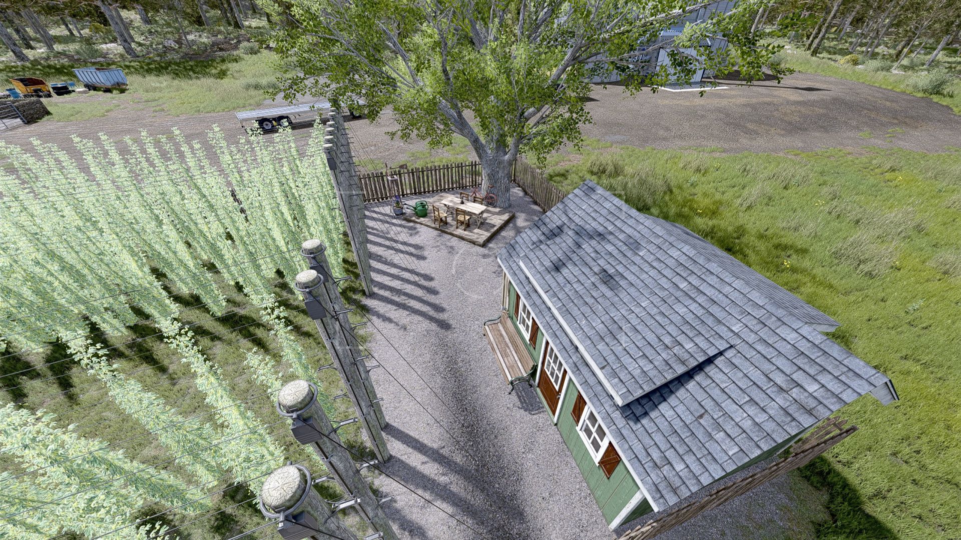 Small Hop Plantation