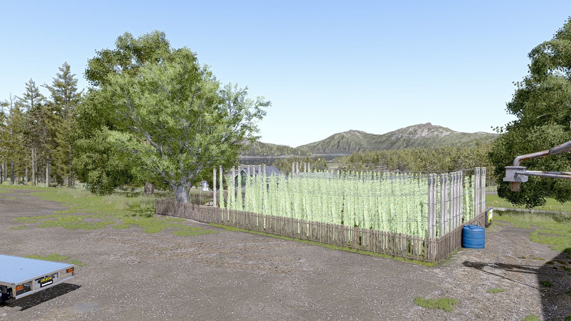 Small Hop Plantation
