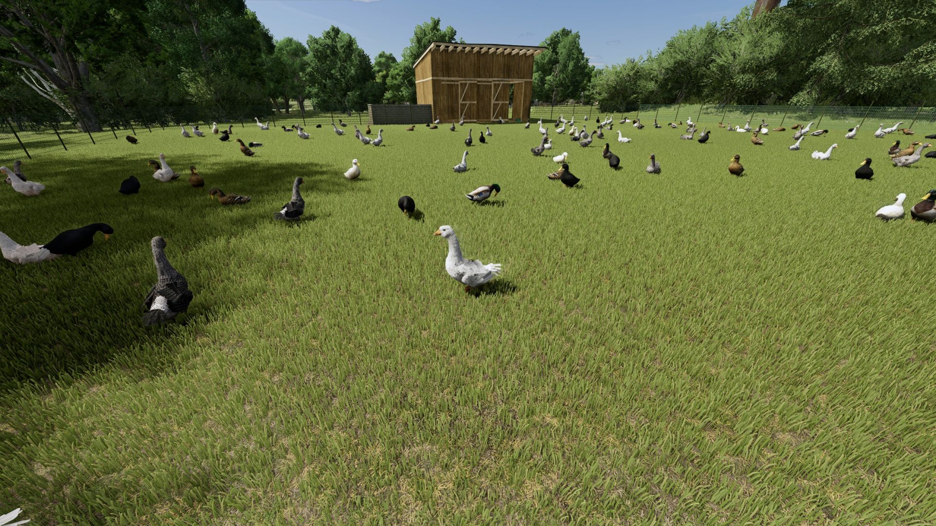 Small Lithuanian Village Edit