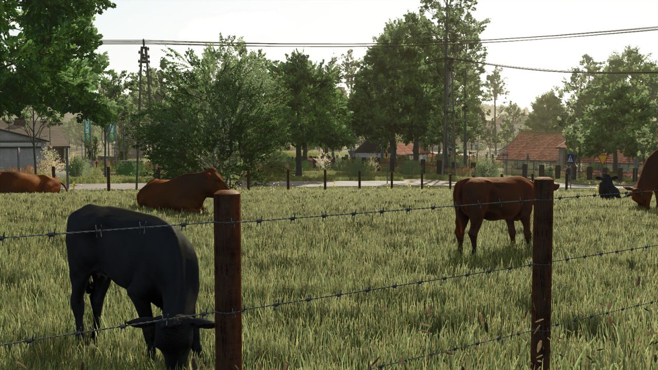 Piccollo di piccoli vecchi pascoli di mucca