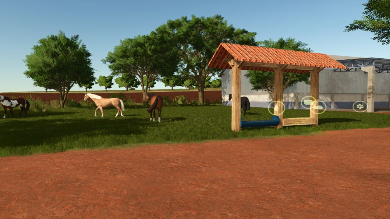 Pequeno pasto para vacas, cavalos e ovelhas
