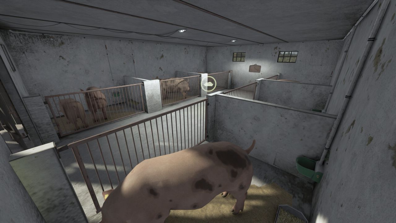 Small Pigsty With Barn