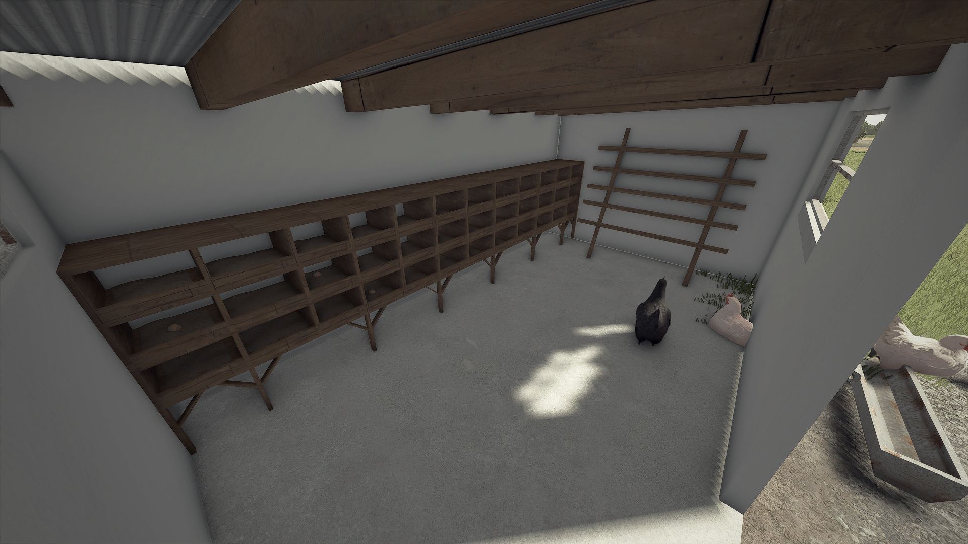 Galinheiro Pequeno Renovado