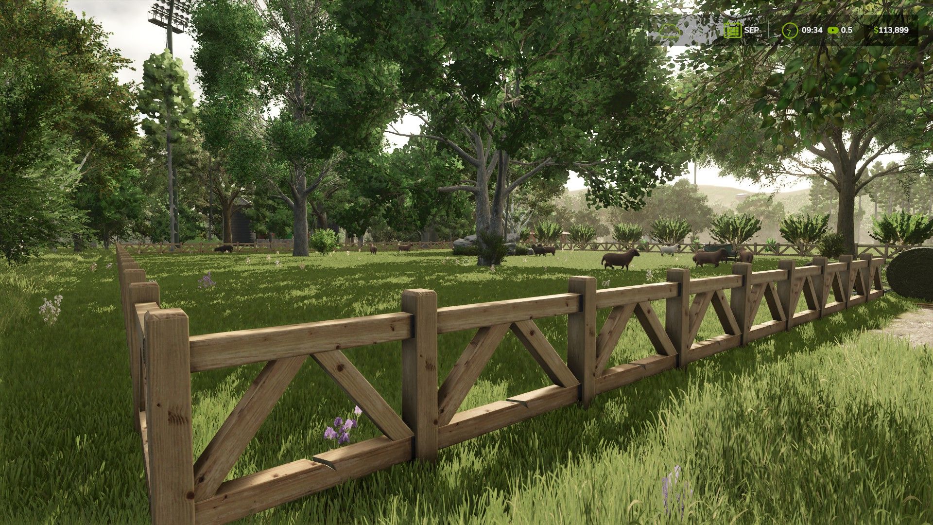 Petit pâturage de moutons et de chèvres avec clôture en bois