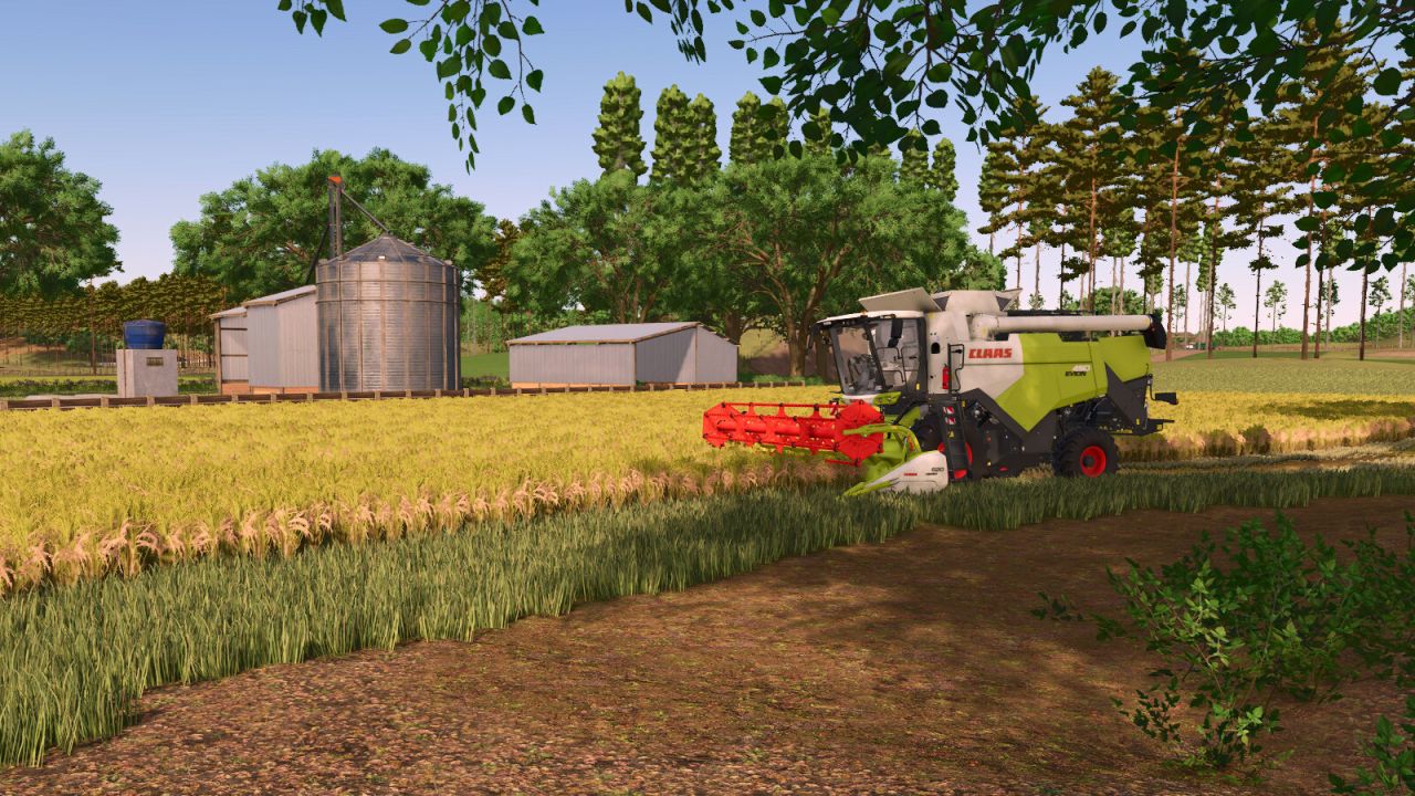 South Rice