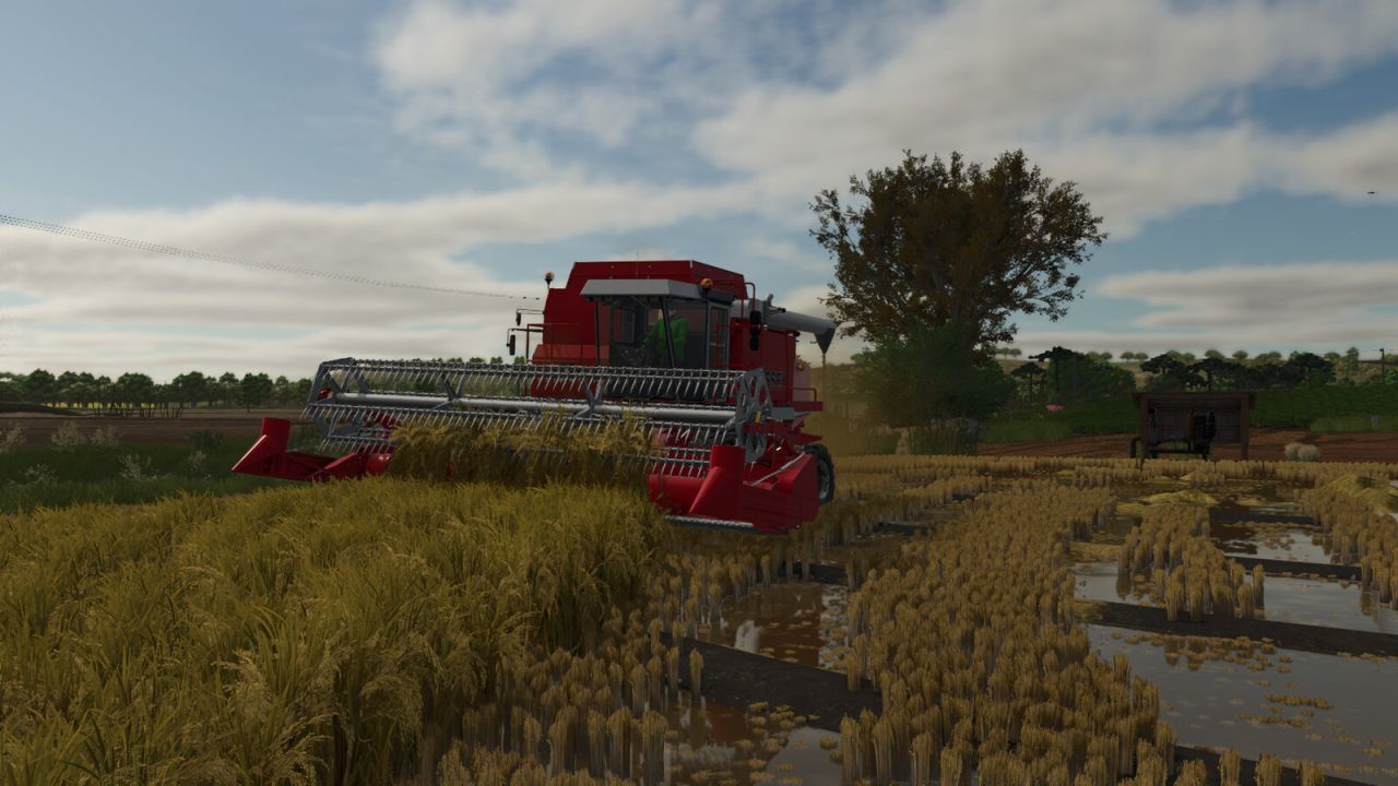 Southern Brazilian Rice Fields