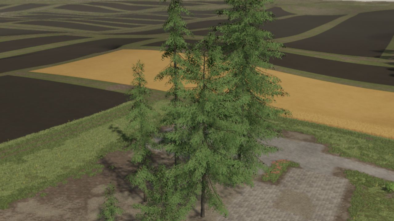 Spruces (Prefab)