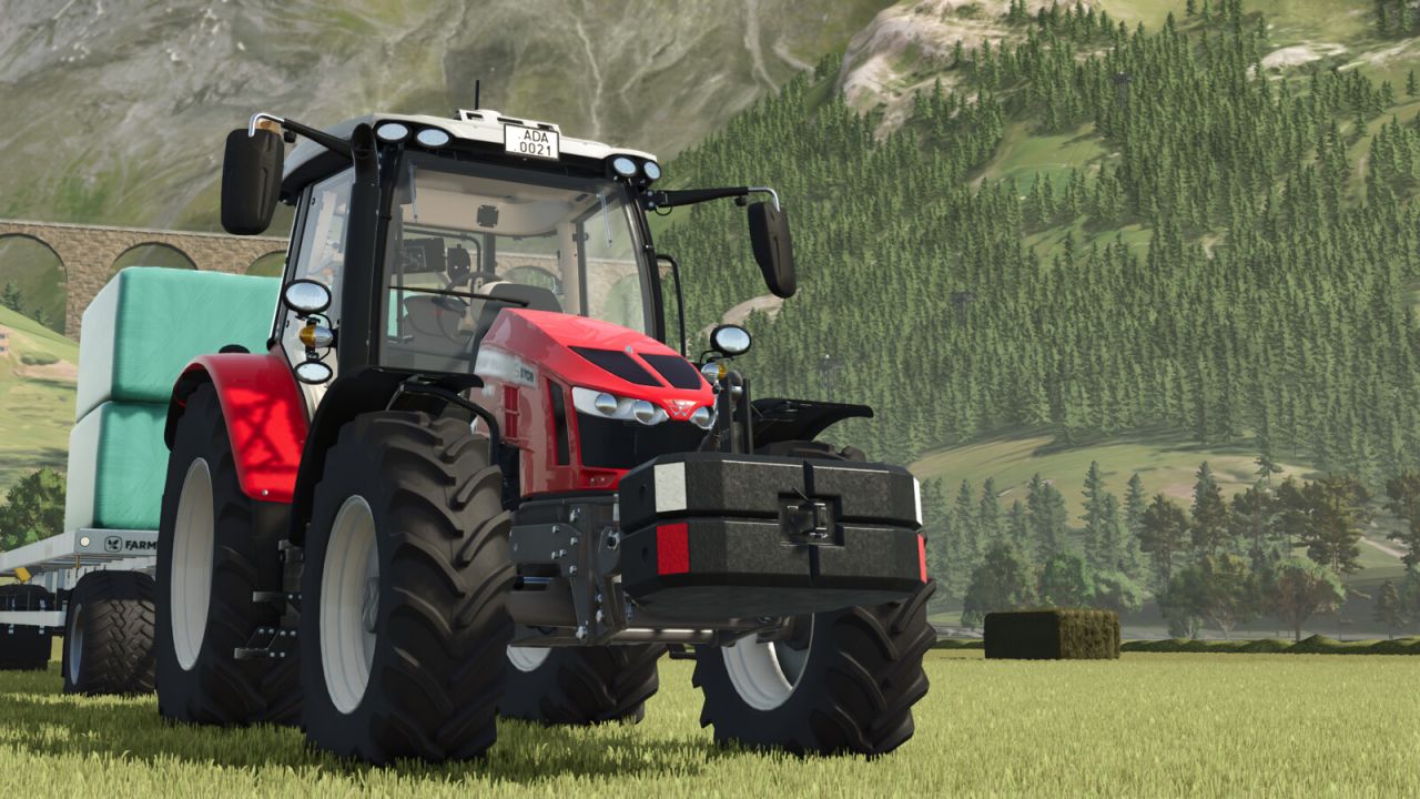 Steyr Gewichte Pack