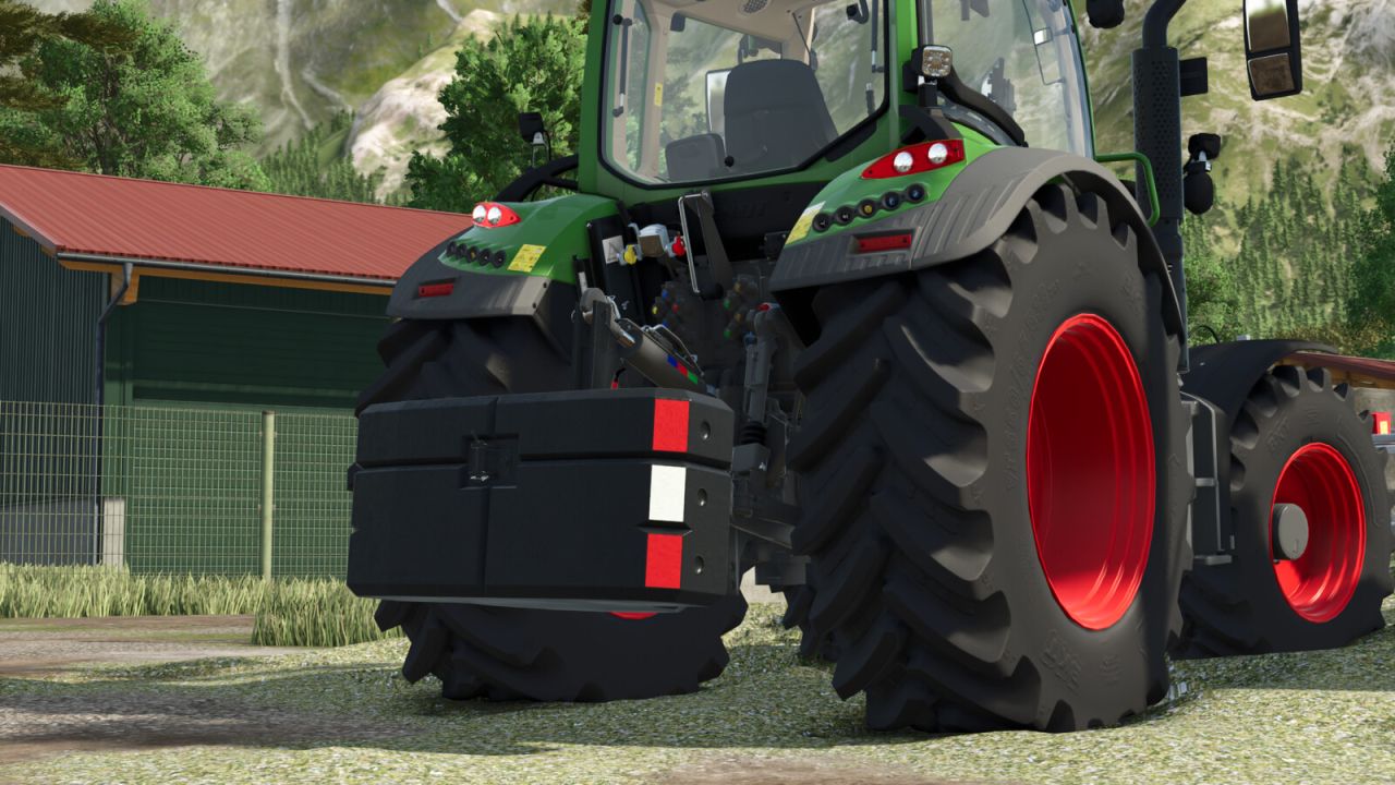 Steyr Gewichte Pack