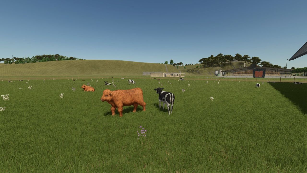 Storefront Stable Options For Husbandry