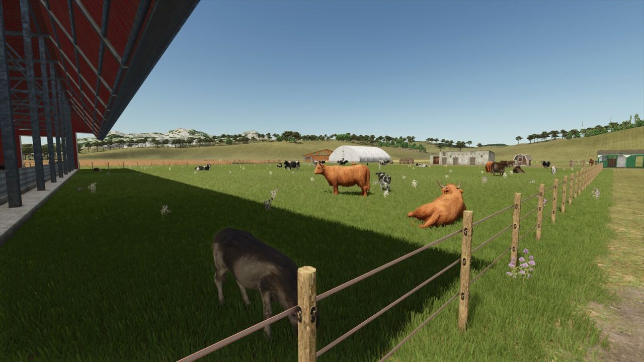 Storefront Stable Options For Husbandry
