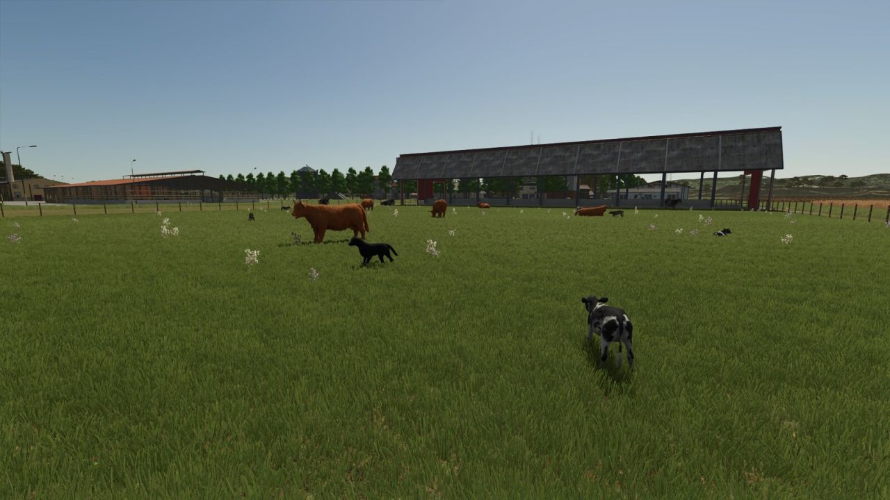 Storefront Stable Options For Husbandry
