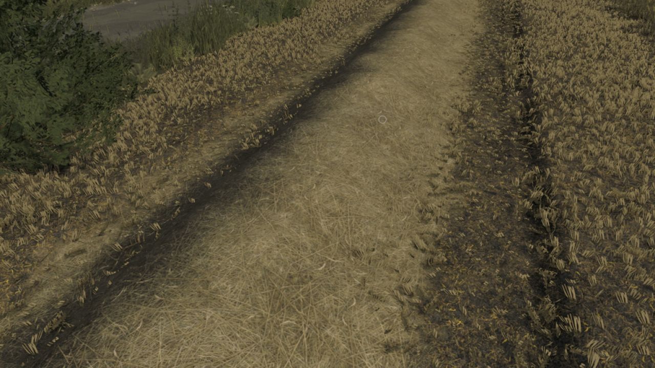Texture de paille et de chaume