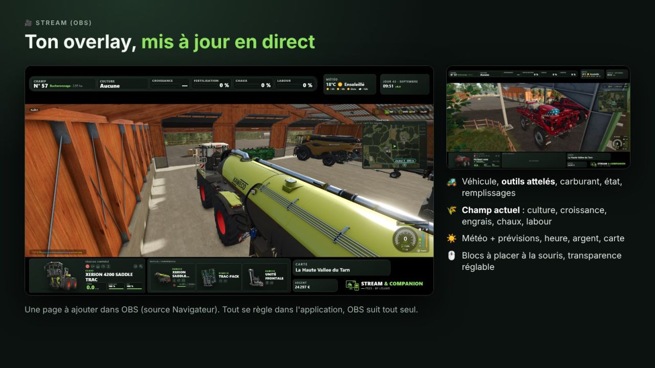 Overlay dello streaming e compagno