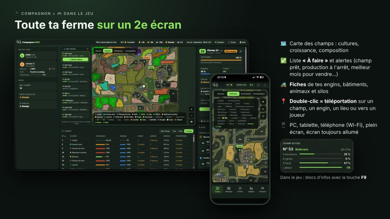 Overlay dello streaming e compagno
