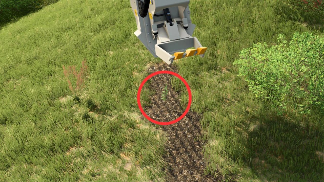 Stump Grinder & Tree Planter