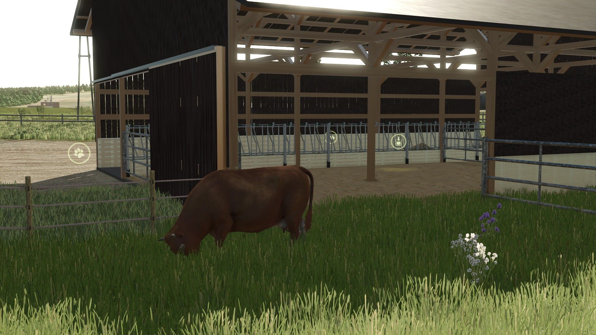 Suckler Cow Housing