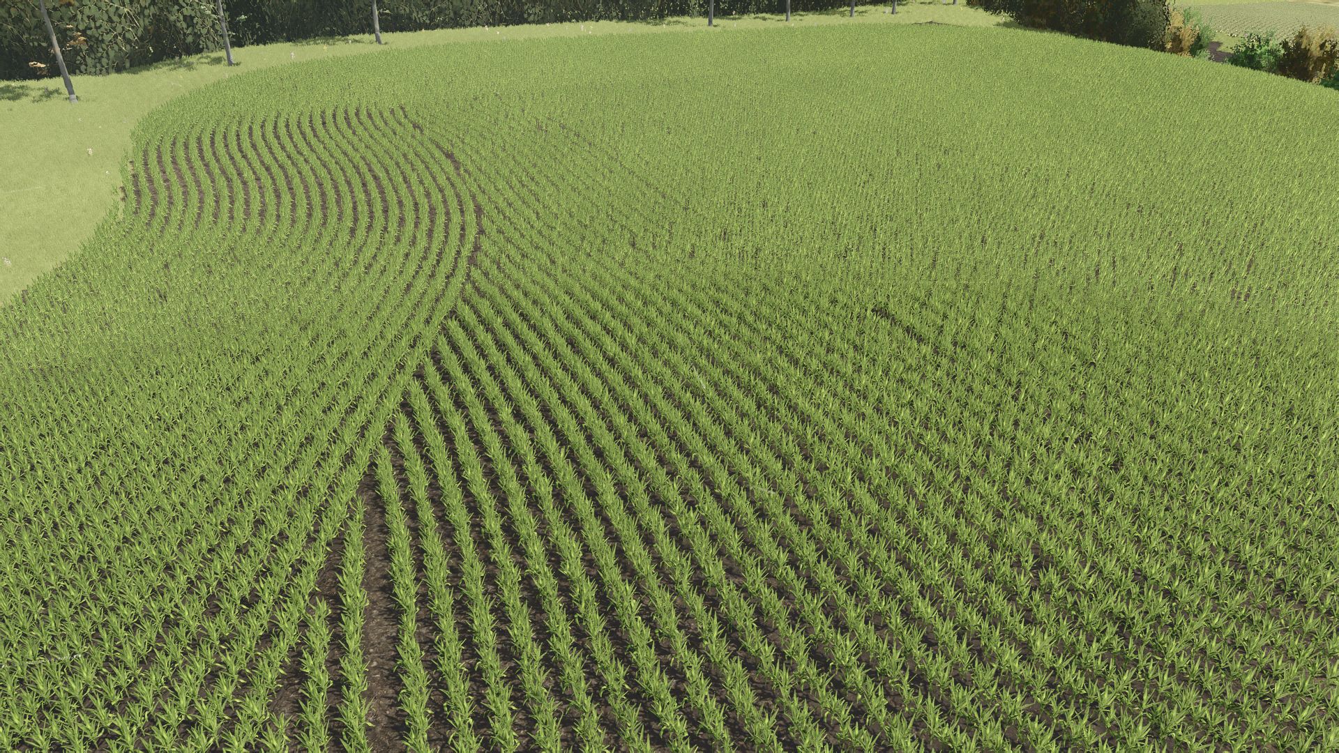 SuedBrazil 4x – Row Crop System