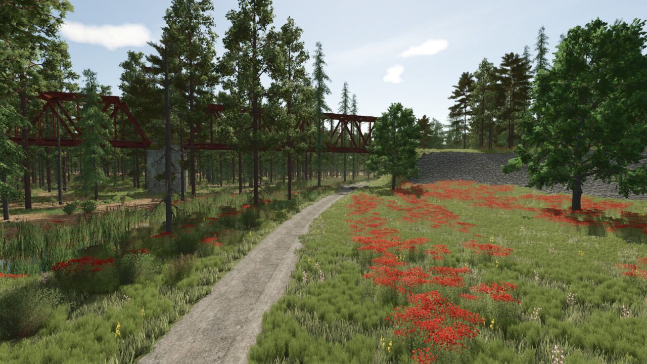 Sunshine Forest