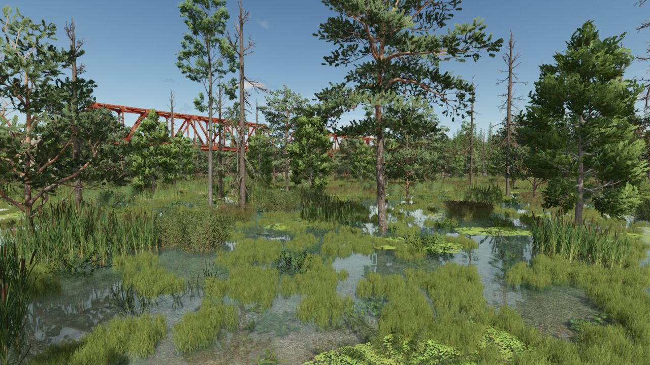 Sunshine Forest