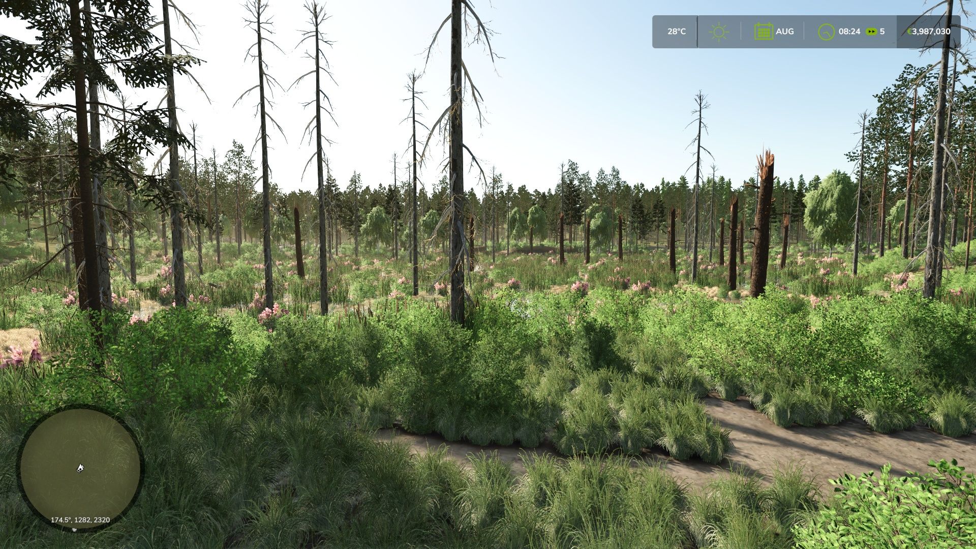 Suomalainen Suometsä